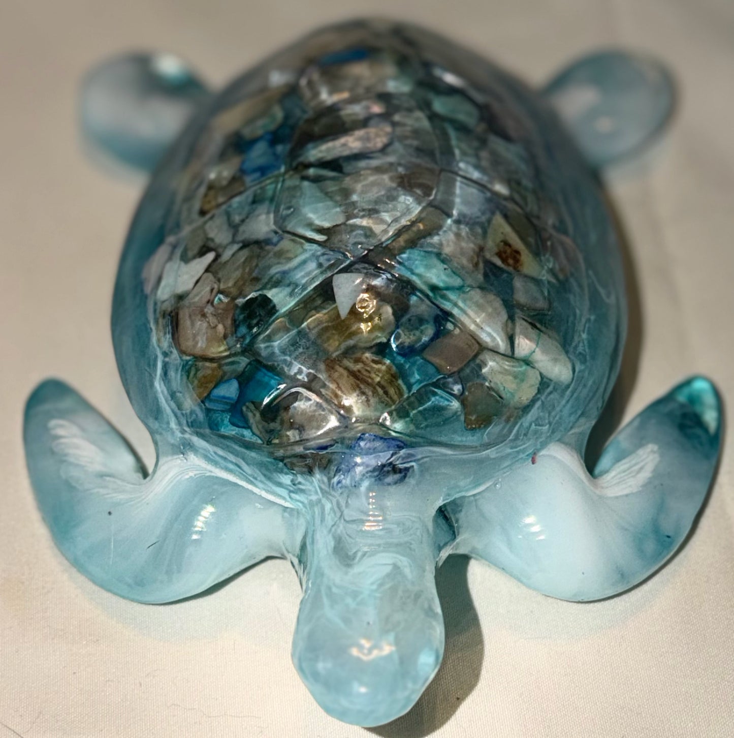 Turtles