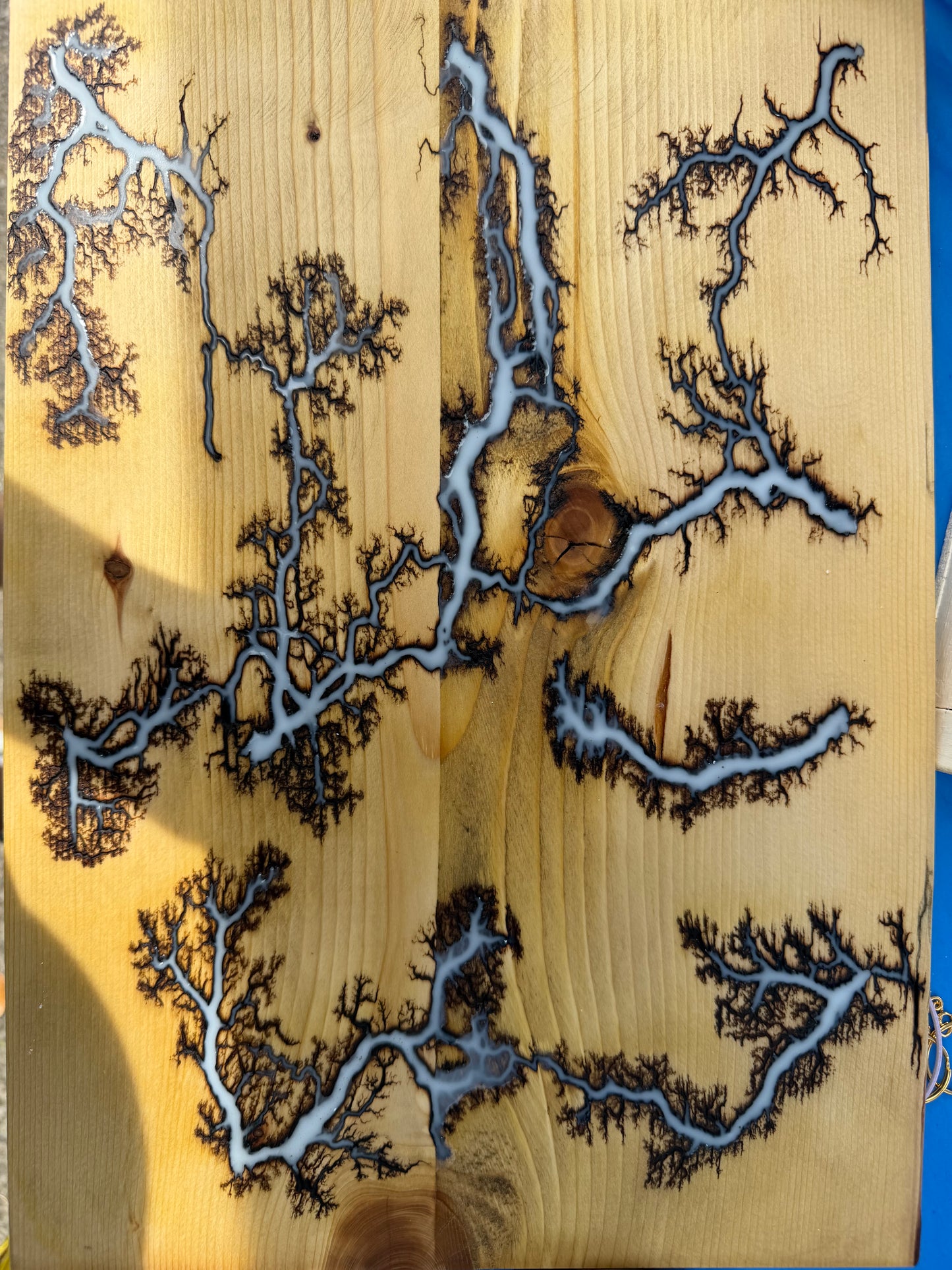 Fractal Burned cutting boards